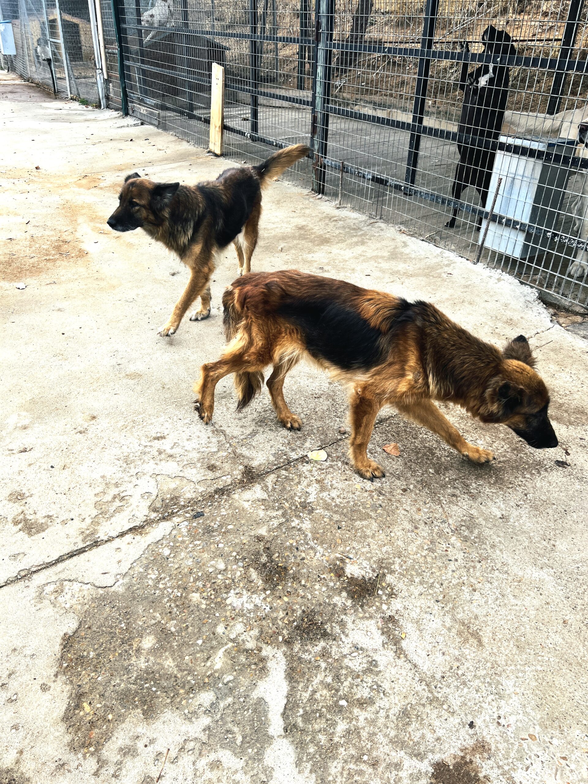 Alma y Vera