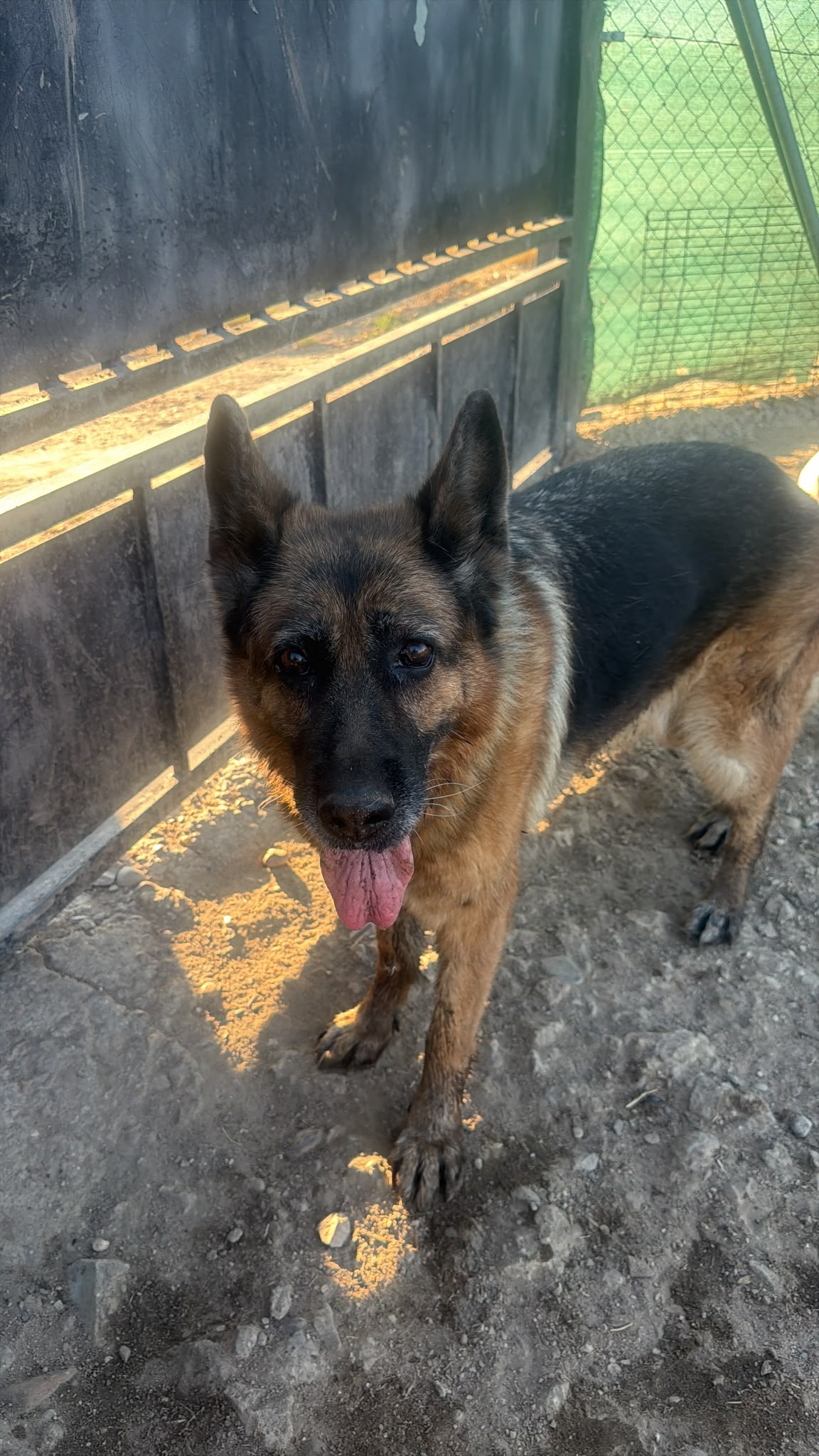 Xena